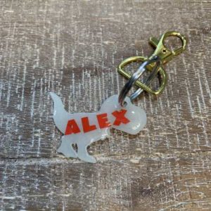 Dino shape keychain